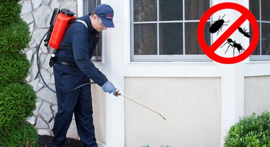 Tekman Akrep İlaçlama böcek ilaçlama ve haşere kontrolü — ilaclama-tr.com